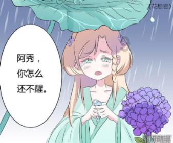 「送养」泰迪，田园猫咪，阿拉斯加